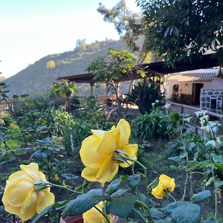 Finca Los Arcos Del Laurel Moya  エクステリア 写真