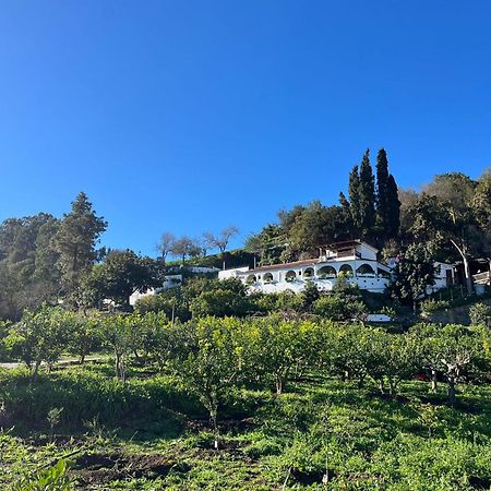 Finca Los Arcos Del Laurel Moya  エクステリア 写真