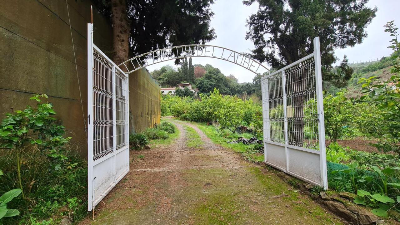 Finca Los Arcos Del Laurel Moya  エクステリア 写真