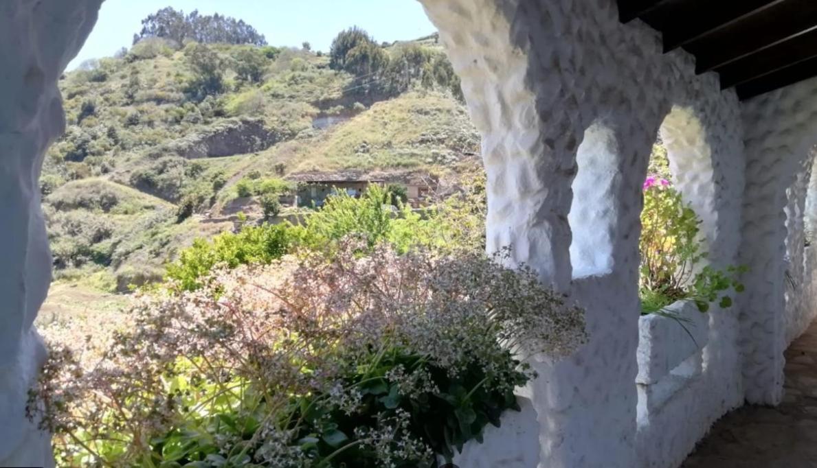 Finca Los Arcos Del Laurel Moya  エクステリア 写真