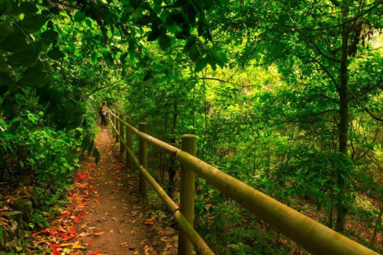 Finca Los Arcos Del Laurel Moya  エクステリア 写真