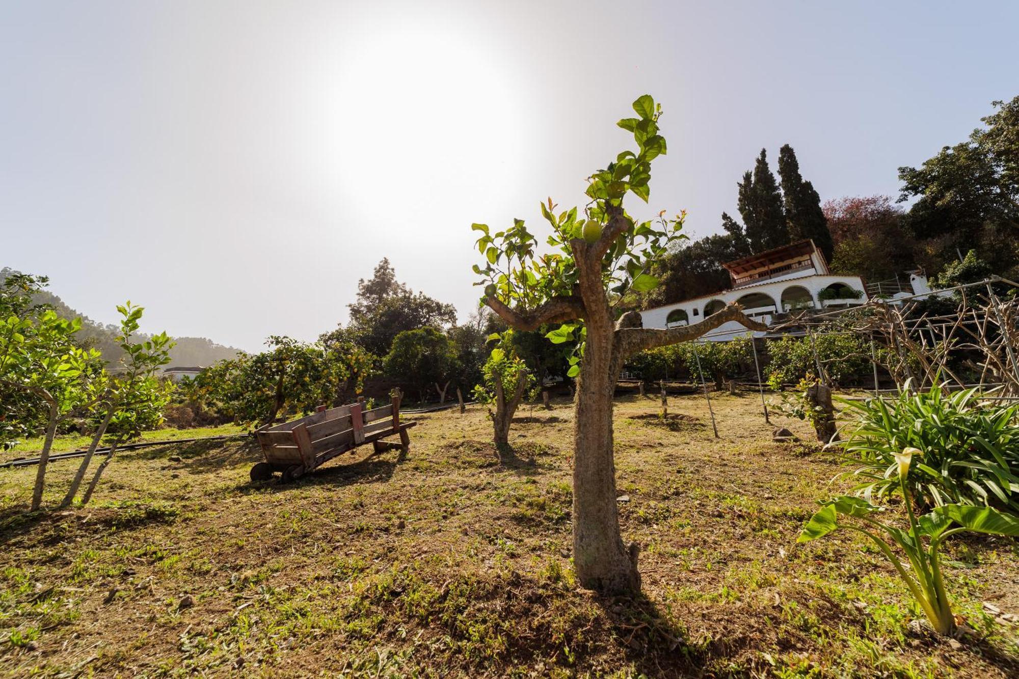 Finca Los Arcos Del Laurel Moya  エクステリア 写真