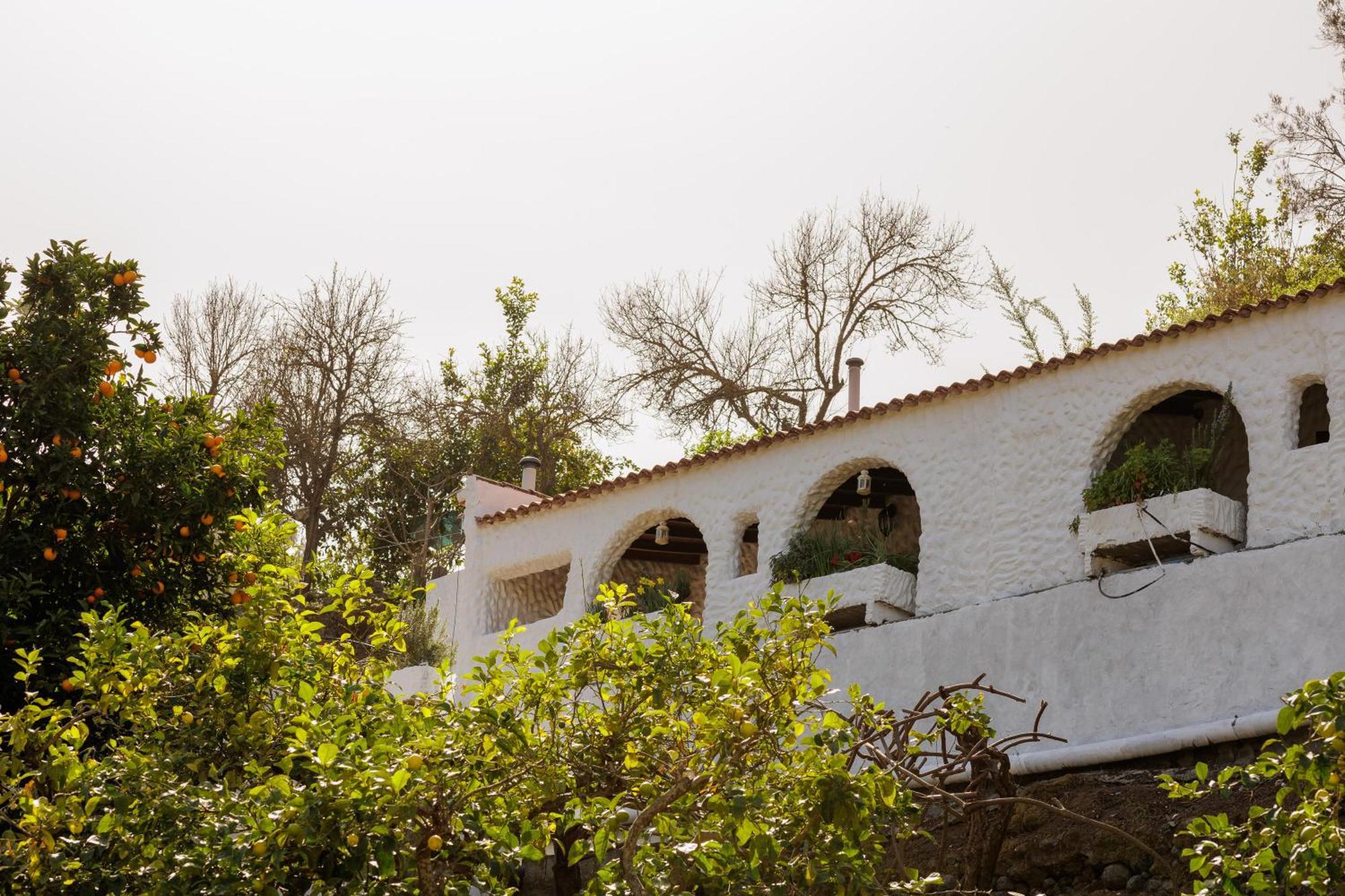 Finca Los Arcos Del Laurel Moya  エクステリア 写真