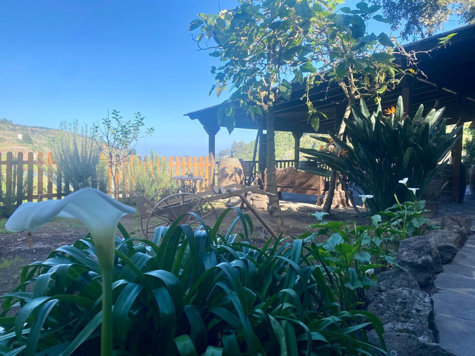 Finca Los Arcos Del Laurel Moya  エクステリア 写真