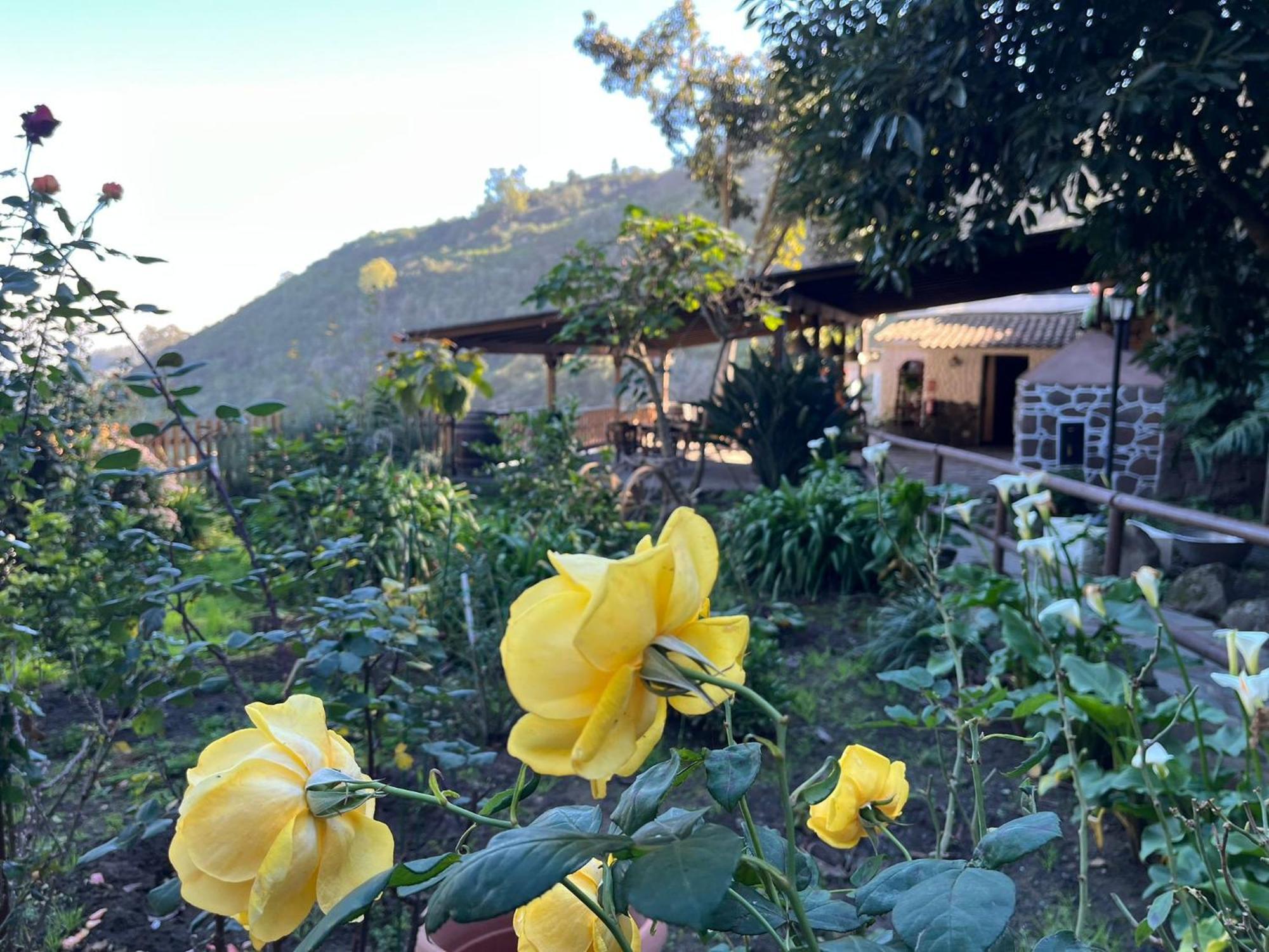 Finca Los Arcos Del Laurel Moya  エクステリア 写真