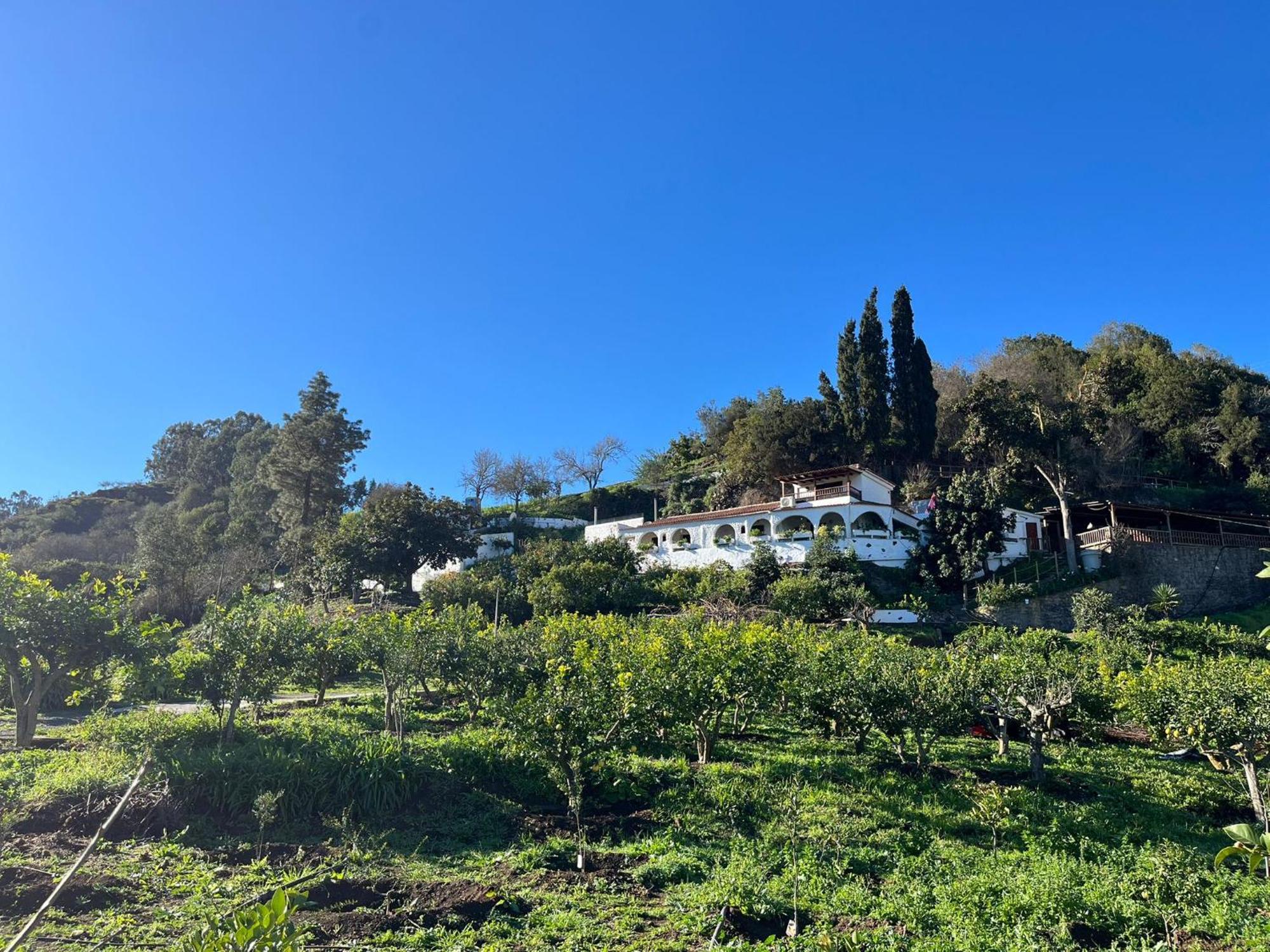 Finca Los Arcos Del Laurel Moya  エクステリア 写真