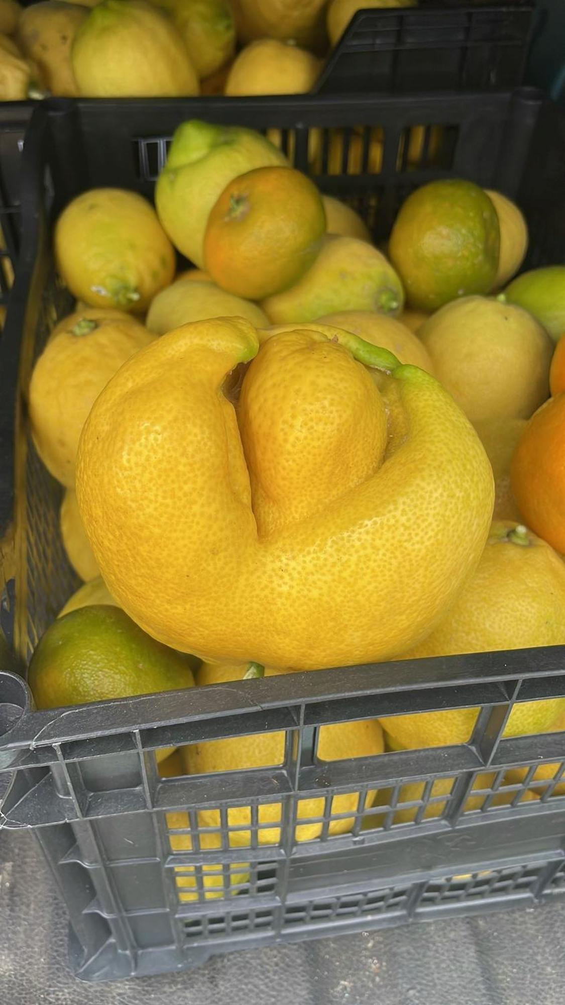 Finca Los Arcos Del Laurel Moya  エクステリア 写真