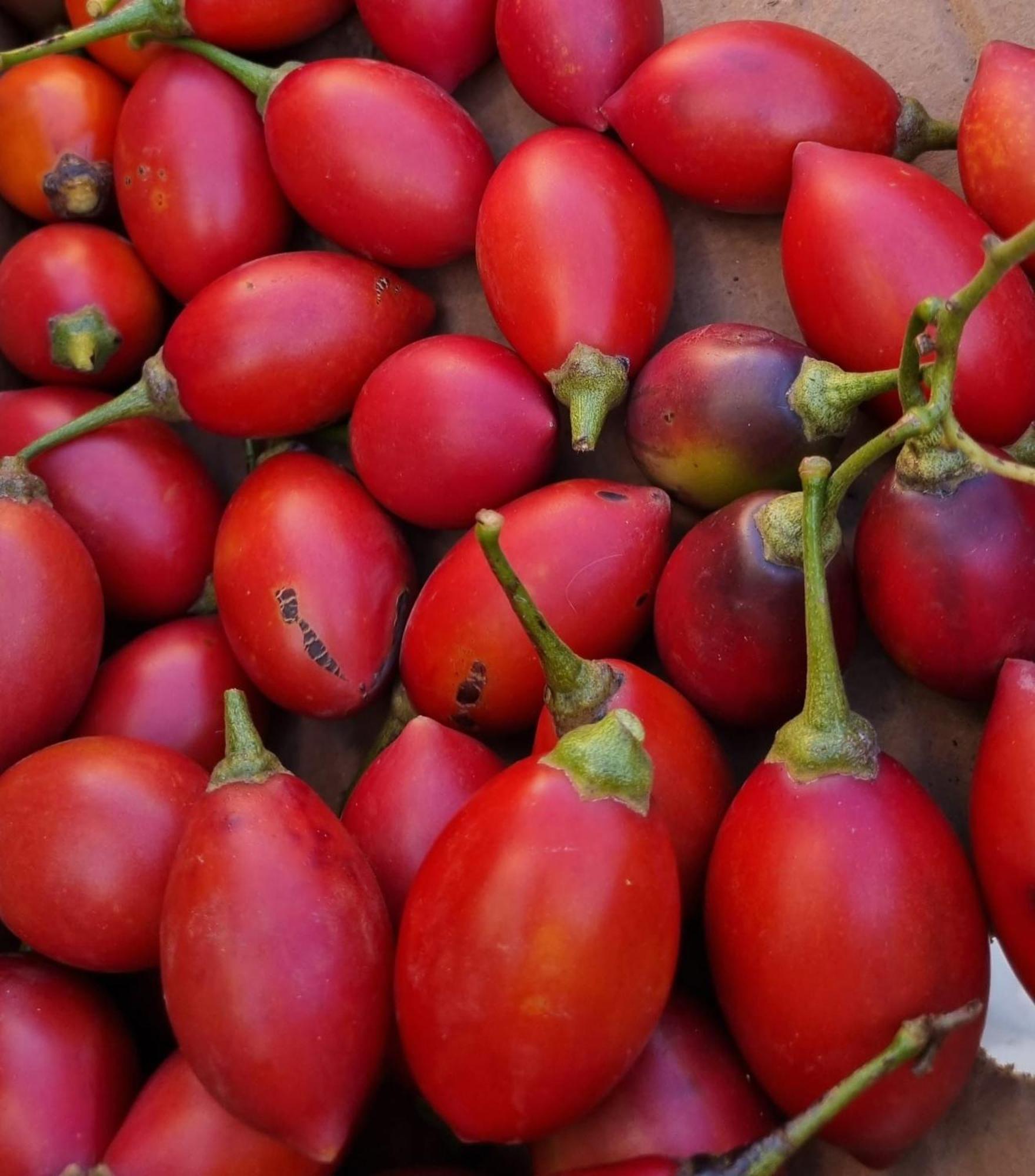 Finca Los Arcos Del Laurel Moya  エクステリア 写真