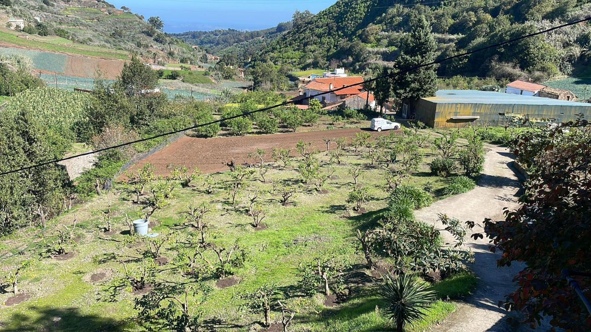 Finca Los Arcos Del Laurel Moya  エクステリア 写真