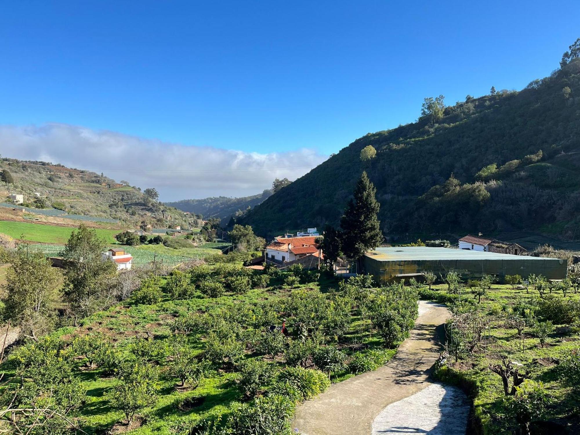Finca Los Arcos Del Laurel Moya  エクステリア 写真
