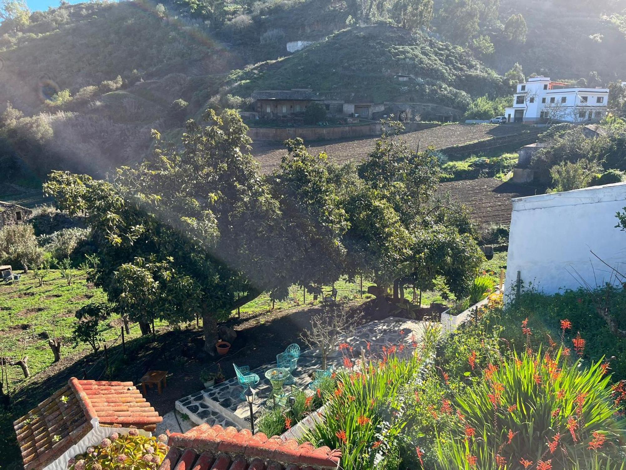 Finca Los Arcos Del Laurel Moya  エクステリア 写真