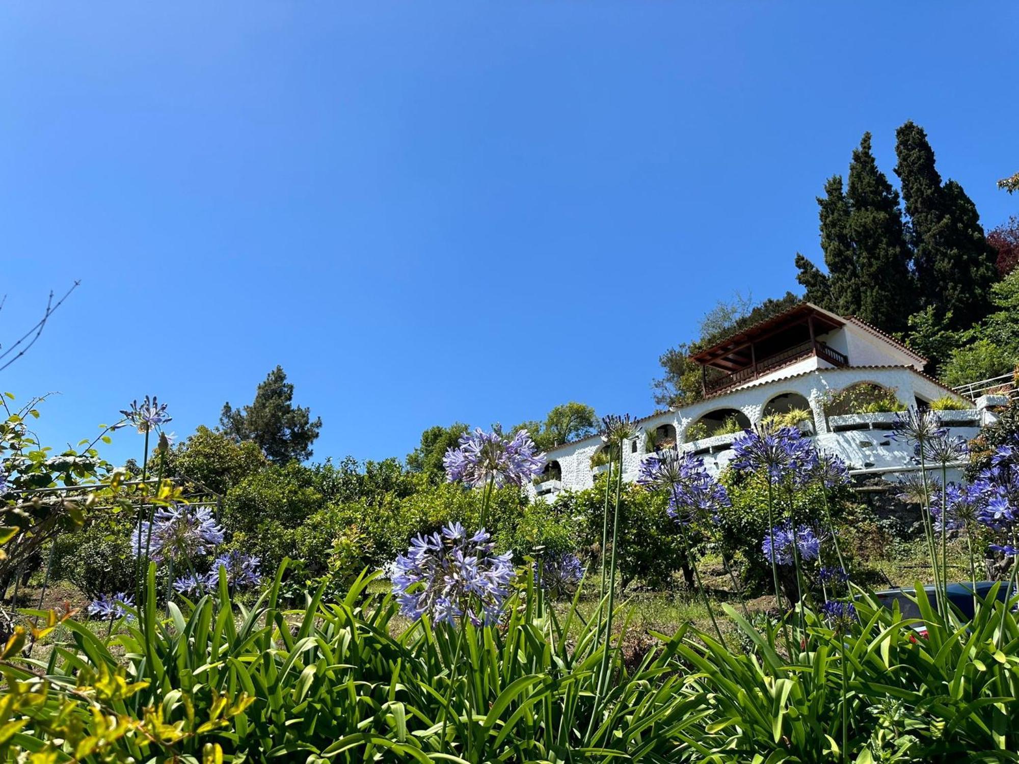 Finca Los Arcos Del Laurel Moya  エクステリア 写真